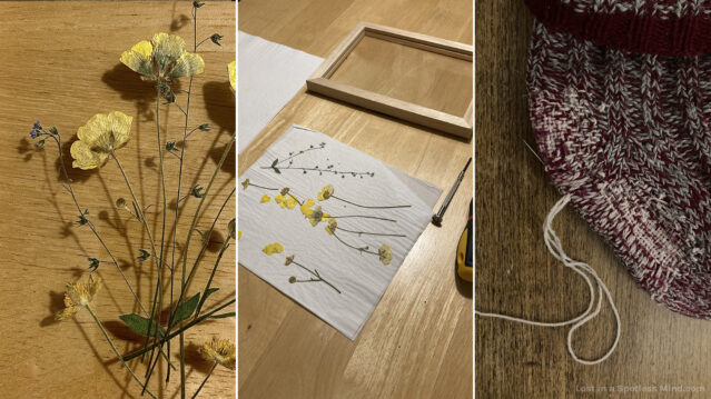 Three side-by-side photos: 1. a close up of pressed buttercups and forget-me-nots, 2. on a table: pressed flowers, an empty frame and some tools, 3. a burgundy-and-grey handknit sock, being heavily darned with baby pink wool yarn.