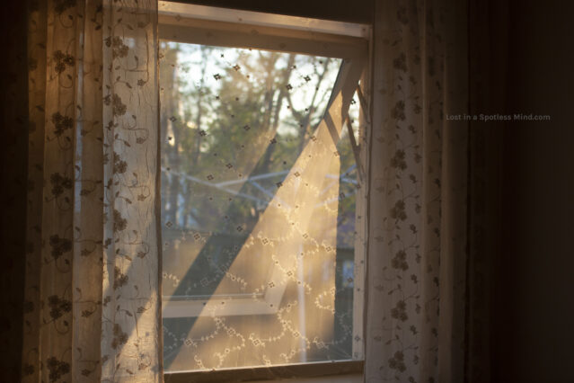 A photo of an open window with thin embroidered curtains.